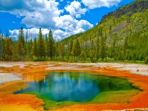 yellowstone2